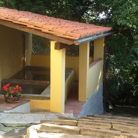 Il Podere Di Giada Баньи-ди-Лукка Экстерьер фото