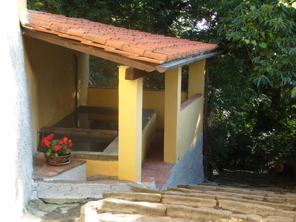 Il Podere Di Giada Баньи-ди-Лукка Экстерьер фото